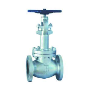 API Cryogenic Globe Valve