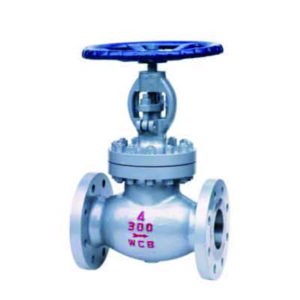 API Globe Valve