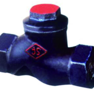 H11T/W-16 Inner Thread Check Valve