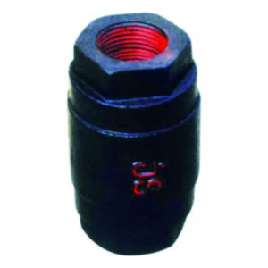H12T-16 Inner Thread Upright Check Valve