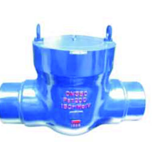 Hydraulic Test Plug Valve
