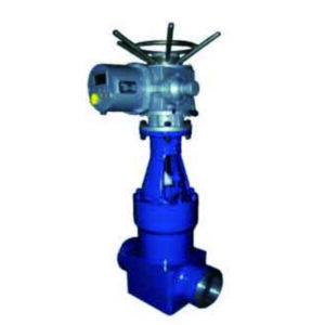 Pipe Purge Valve