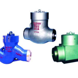 Power Station Check Valve