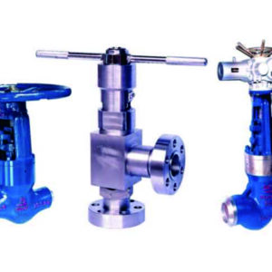 Power Station Stop Valve