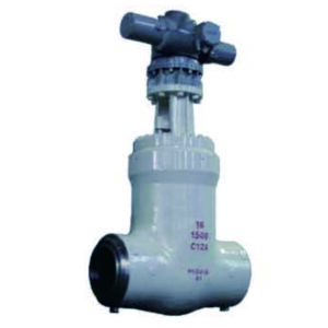 Power Station Valve