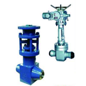 Scour Resistant Globe Valve