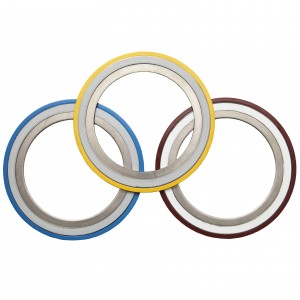 Stainless Steel Graphite Packing Spiral Wound Gasket