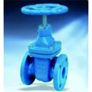 Resilient Seated Gate Valve HV1131A