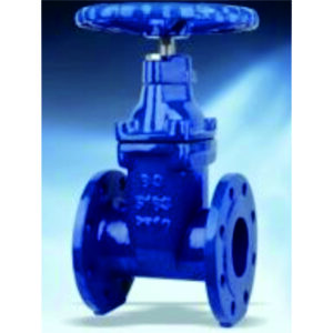Resilient Seated Gate Valve HV2113A