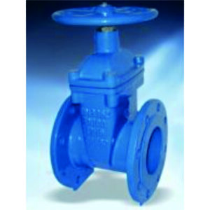 Resilient Seated Gate Valve HV3111C