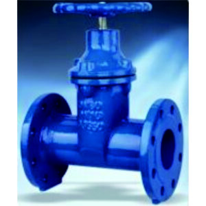 Resilient Seated Gate Valve HV3112A