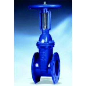 Resilient Seated Gate Valve HV3121A