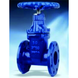 Resilient Seated Gate Valve HV4111A