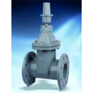 Resilient Seated Gate Valve HV5111A