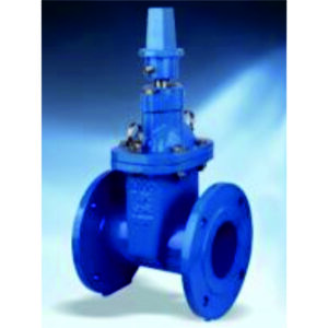 Resilient Seated Gate Valve HV5112A
