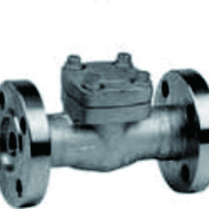 Y-type Check Valve 800~1500Lb PN14.0~25.0MPa